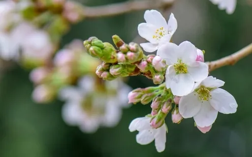 Support Yourself With Loving Kindness