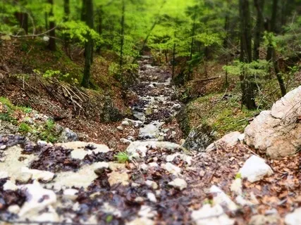  Supported & Grounded In Nature