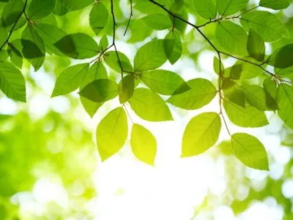 Supported By Spirit Guided Meditation