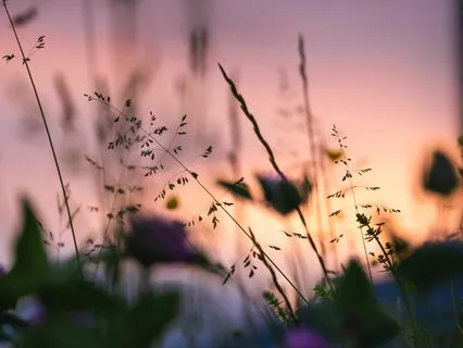 Supporting A Loved One Through A Difficult Time