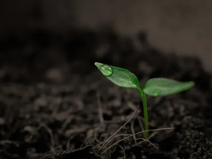 Supporting Grieving Kids with Jana DeCristofaro