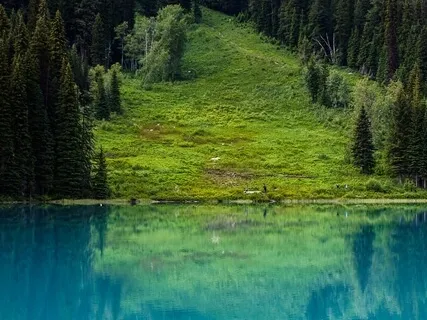 Supporting My Inner Peace & Wellbeing