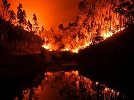 Supportive Affirmation Practice For Embracing Fear & Failure