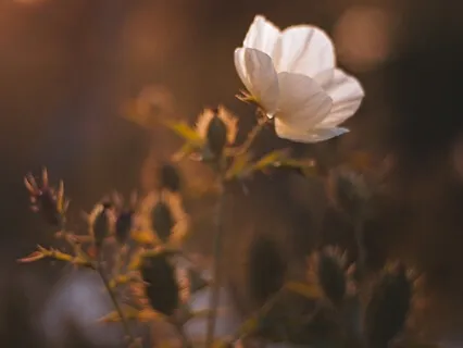 Supportive Touch: Cultivating A Loving Relationship With Yourself