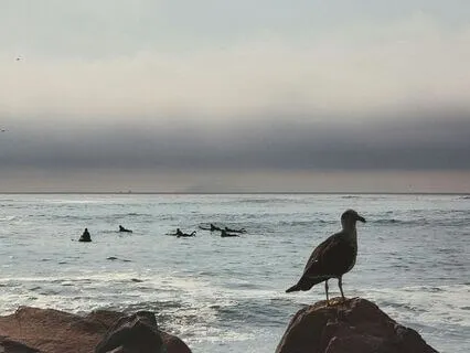 Surfing Emotions For Stress And Anxiety