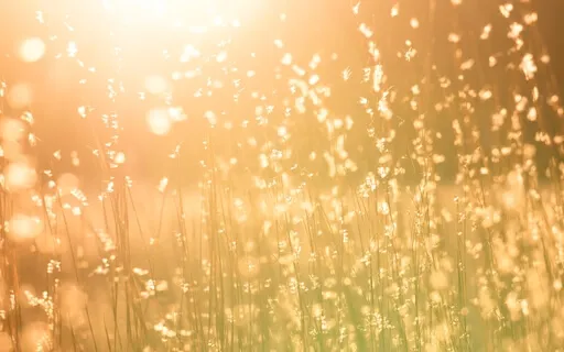 Surrender All Worry, Anxiety & Experience Deep Freedom