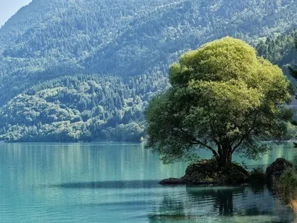 Surrender & Allow: Yoga Nidra & Lake Meditation