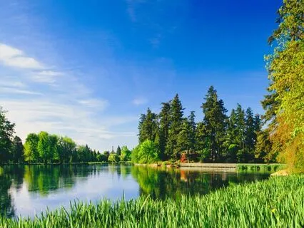 Surrender And Flourish: Accept Life’s Flow | 40 Hz