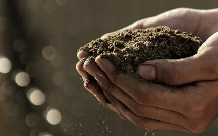 Surrender - Contemplative Meditation