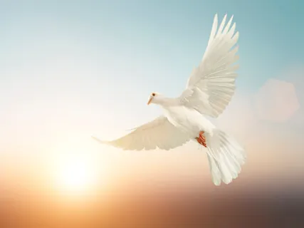 Surrender: Creating Unity