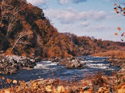 Surrender & Flow With Your Current Of Life