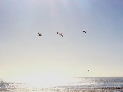 Surrender into a Sense of Enough ~ Affirmations