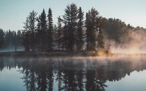 Surrender Into Deep Sleep