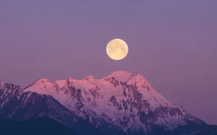 Surrender Into Sleep