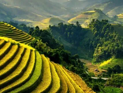 Surrender Into The Now