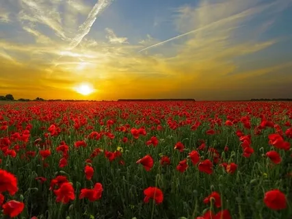 Surrender Into The Womb