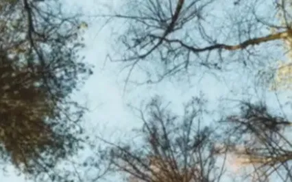 Surrender Meditation