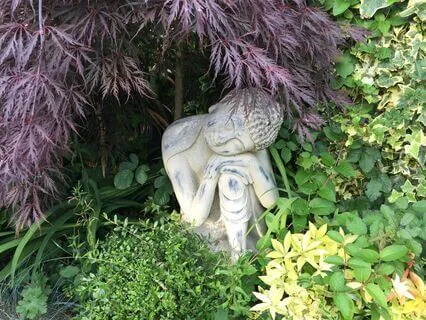 Surrender Practice For Cultivating Calm