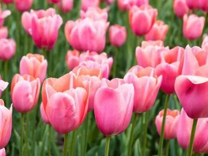 Surrender The Need To Control