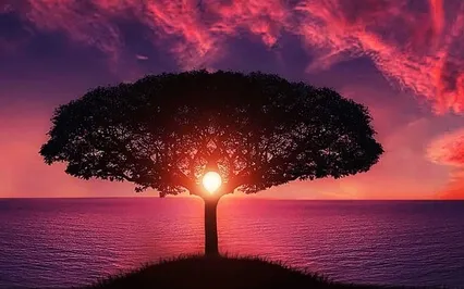 Surrender To A Golden Sleep  - Yoga Nidra Meditation