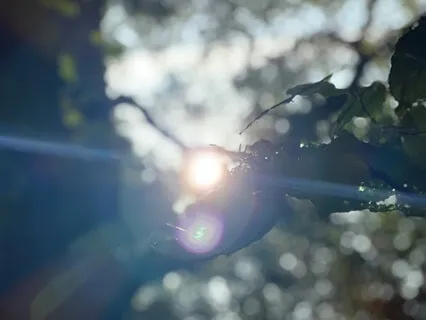 Surrender To Body-Healing Light Meditation