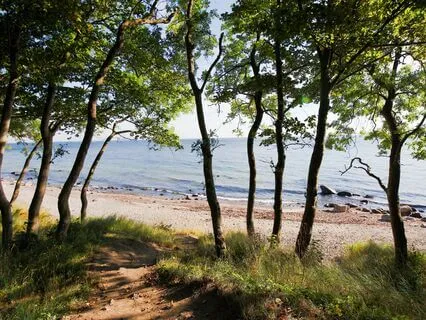 Surrender To Peacefulness - Meditation 57