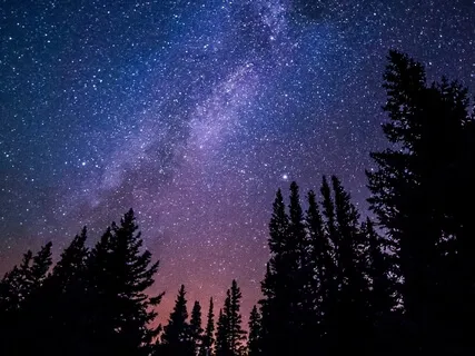 Daily Balm:  Surrender To Sleep