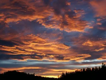 Surrender To Sleep Meditation