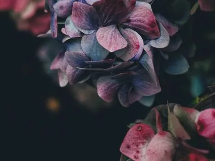 Surrender To Sleep & Safety