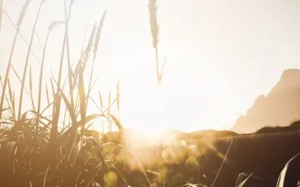 Surrender To Spirit: A Shamanic Journey 