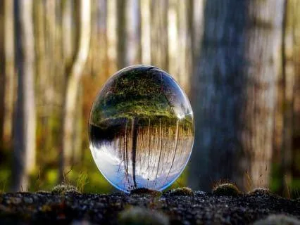 Surrender To Stillness