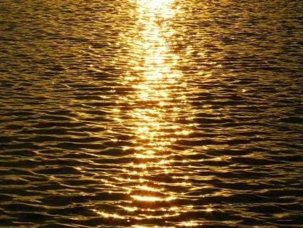 Surrender To Stillness