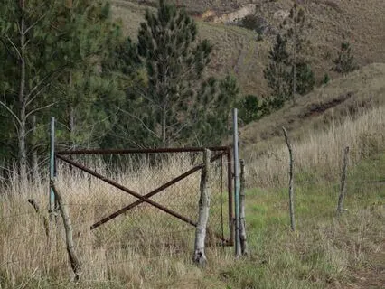 Surrender To The Divine | A Meditation On Sacred Silence