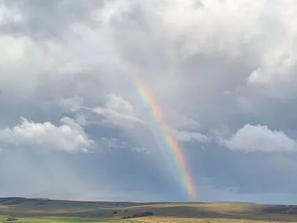 Surrender To The Divine Unfolding