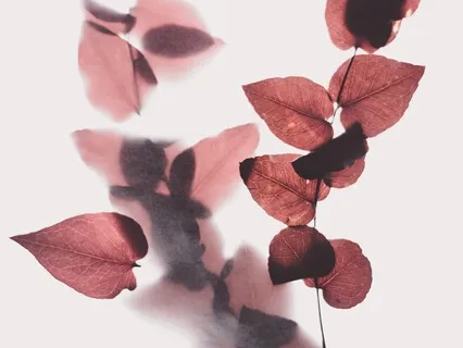 Surrender To The Divine