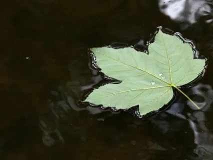 Surrender To The Flow: Trusting Life's Greater Plan