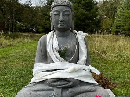 Surrender To The Now:  Mindfulness For Radical Acceptance