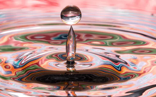 Surrender To The Pandemic