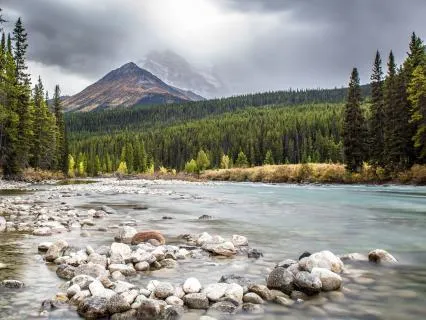 Surrender To The River Flow: Anxiety Relief & Letting Go