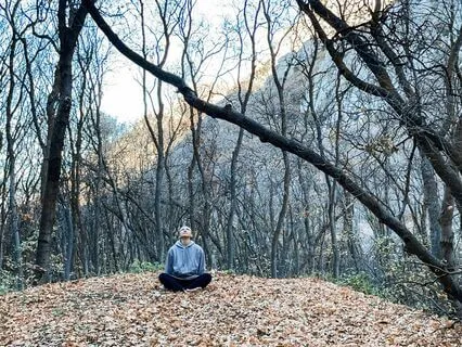 Surrender To The Season