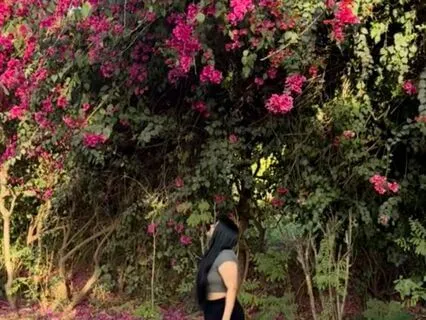 Surrender To The Universe