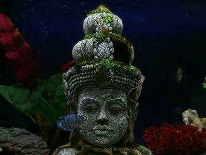 Surrender To Transformation With Goddess Chinnamasta