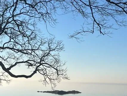 Surrender, Trust, And Embrace The Journey