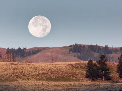 Surrender What You No Longer Need