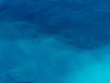 Surrender While Singing