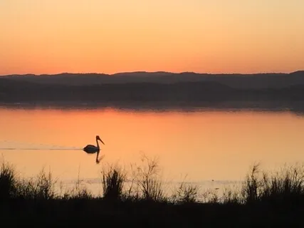 Surrender With Light Language 