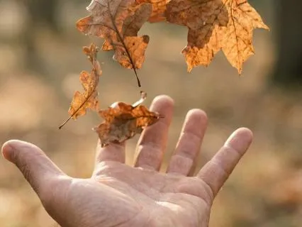 Surrender Without Giving Yourself Away