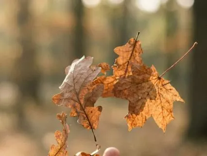 Surrender Without Losing Yourself: Release And Stay Whole