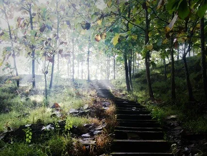 A Nurturing Journey Into Surrender