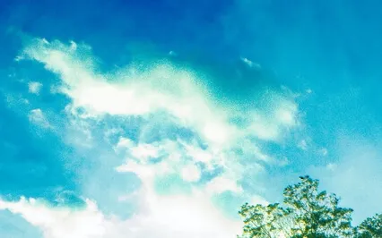 Surrendered Acceptance